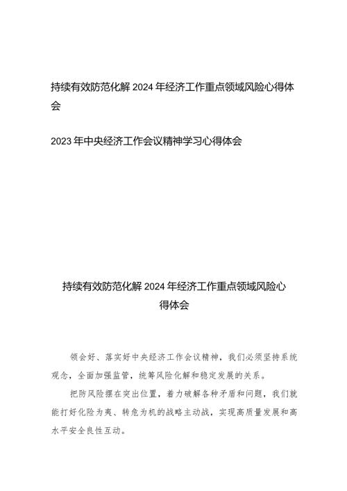 持续有效防范化解2024年经济工作重点领域风险心得体会、2023年中央经济工作会议精神学习心得体会.docx