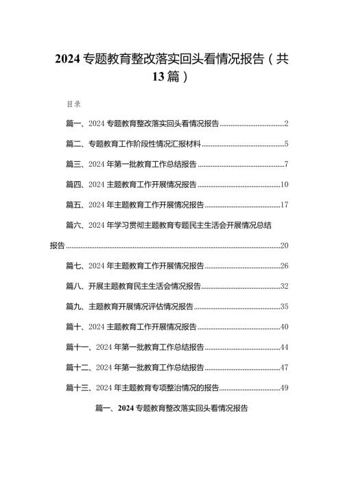 专题教育整改落实回头看情况报告【13篇精选】供参考.docx