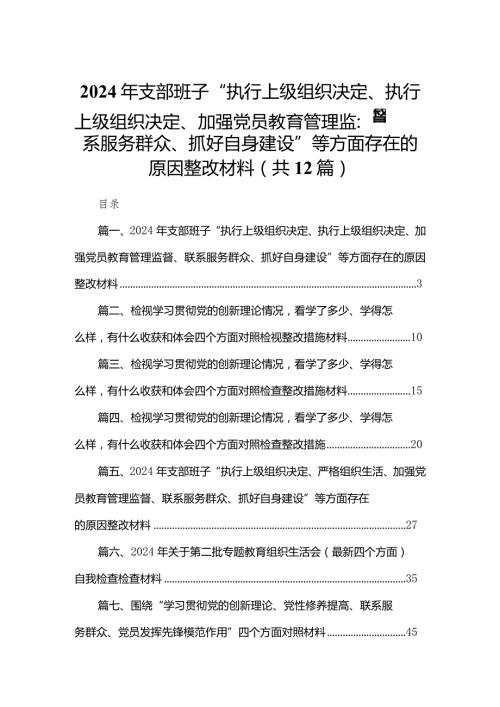 2024年支部班子“执行上级组织决定、执行上级组织决定、加强党员教育管理监督、联系服务群众、抓好自身建设”等方面存在的原因整改材料最(1).docx