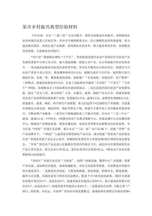 某市乡村振兴典型经验材料.docx