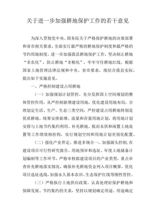 关于进一步加强耕地保护工作的若干意见.docx
