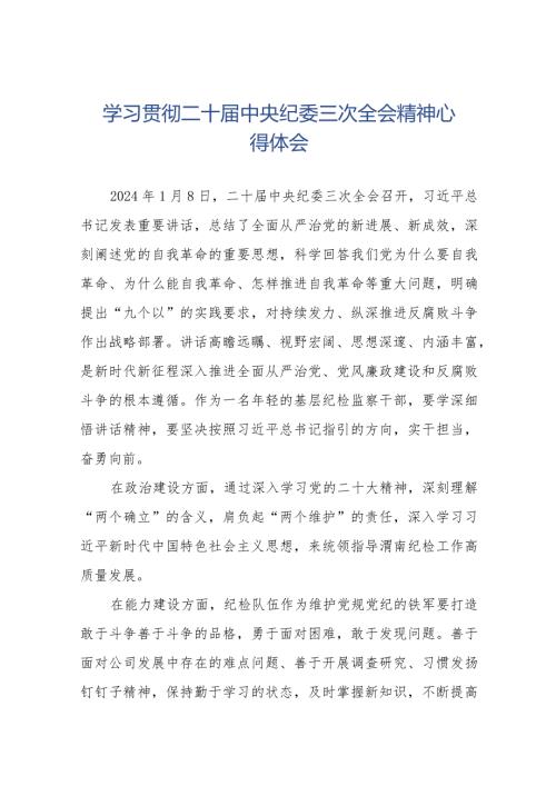 纪检巡察干部学习二十中央纪委三次全会精神心得体会十九篇.docx