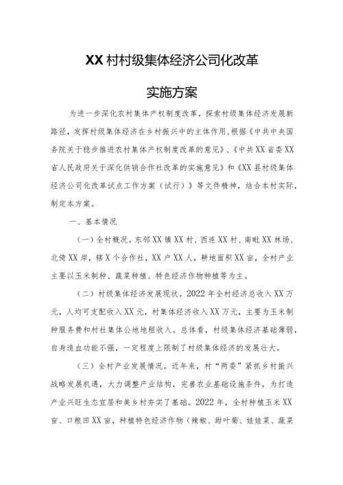 XX村村级集体经济公司化改革实施方案.docx