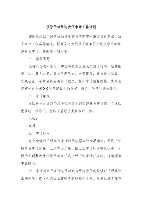 领导干部经济责任审计工作计划.docx