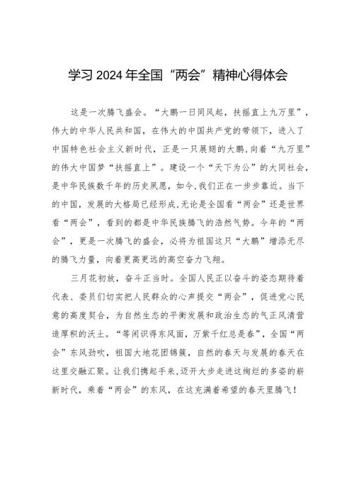2024年全国两会精神学习心得30篇.docx