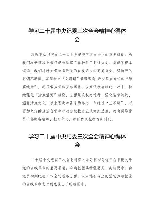 纪检干部关于二十中央纪委三次全会精神的学习体会(25篇).docx