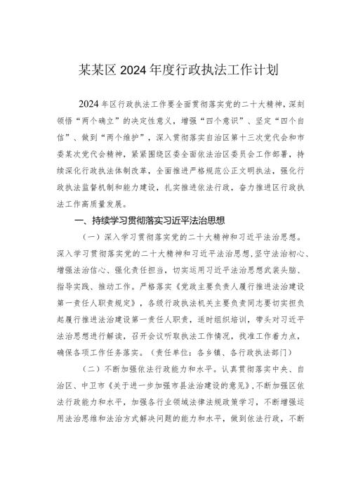 某某区2024行政执法工作计划.docx