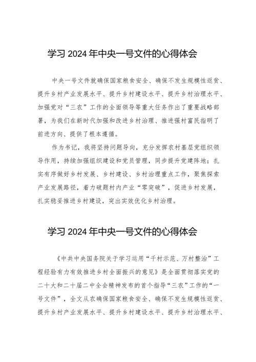 村长2024年中央一号文件学习心得体会22篇.docx