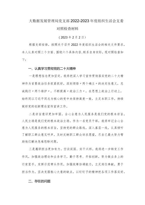 大数据发展管理局党支部20222023组织生活会支委对照检查材料.docx