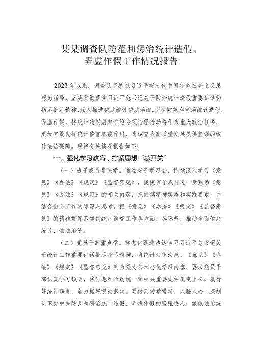 某某调查队防范和惩治统计造假、弄虚作假工作情况报告.docx