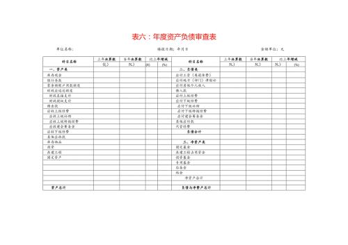 资产负债审查表模板.docx