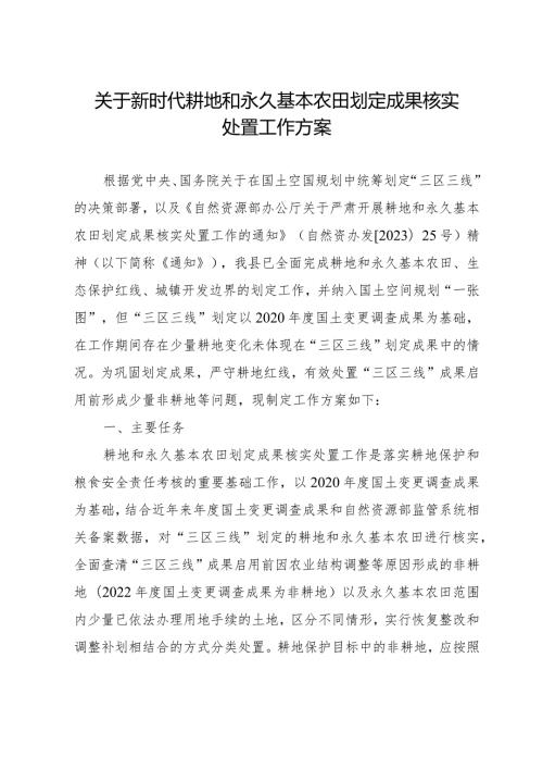 新时代耕地和永久基本农田划定成果核实处置工作方案.docx