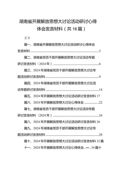2024湖南省开展解放思想大讨论活动研讨心得体会发言材料16篇（完整版）.docx