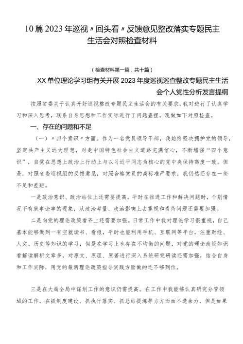 10篇2023年巡视“回头看”反馈意见整改落实专题民主生活会对照检查材料.docx
