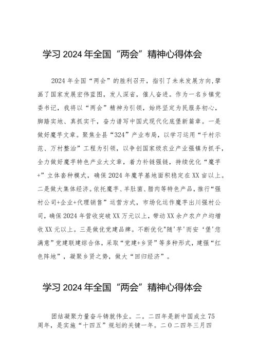 镇书记学习2024年全国“两会”精神心得体会二十篇.docx
