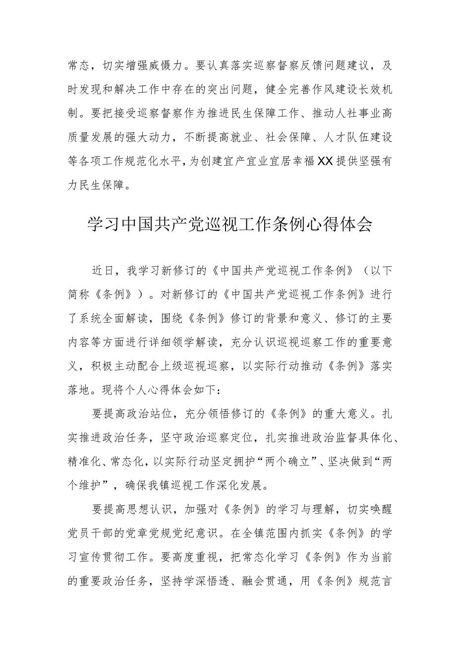 燃气公司党委书记学习中国共产党巡视工作条例心得体会 合计6份.docx_第2页