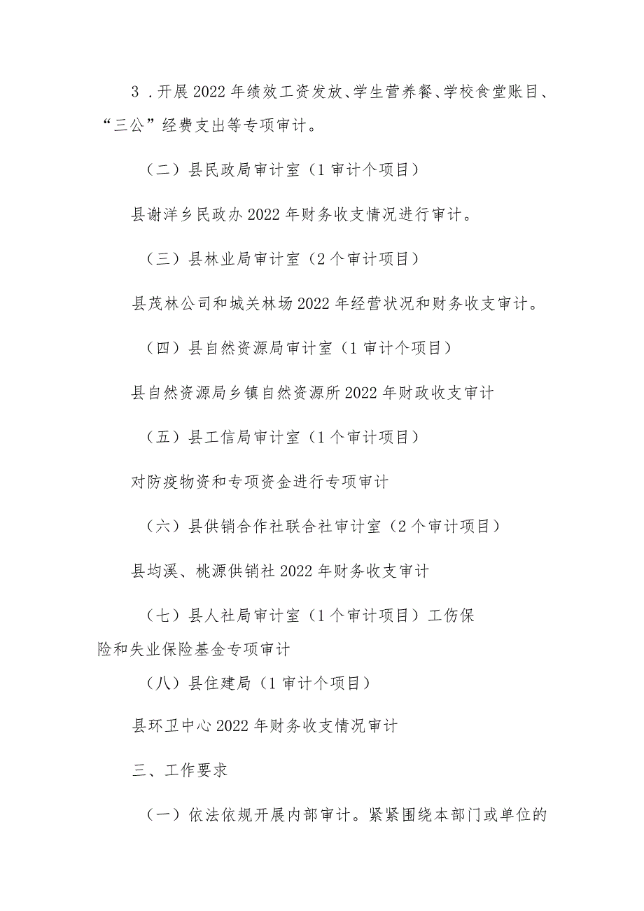 县审计局关于下达2023内部审计工作计划的通知.docx_第2页