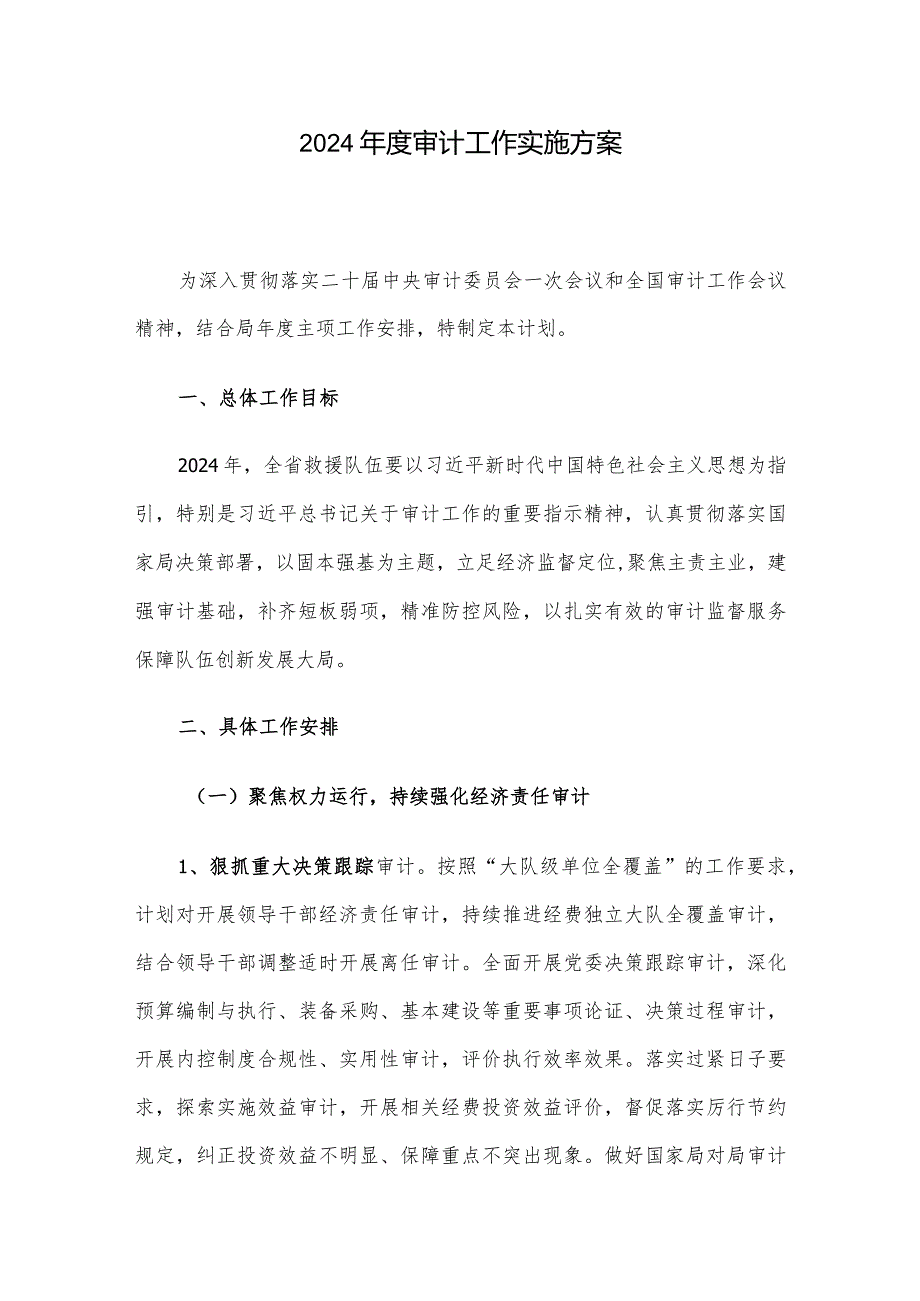 2024审计工作实施方案.docx_第1页