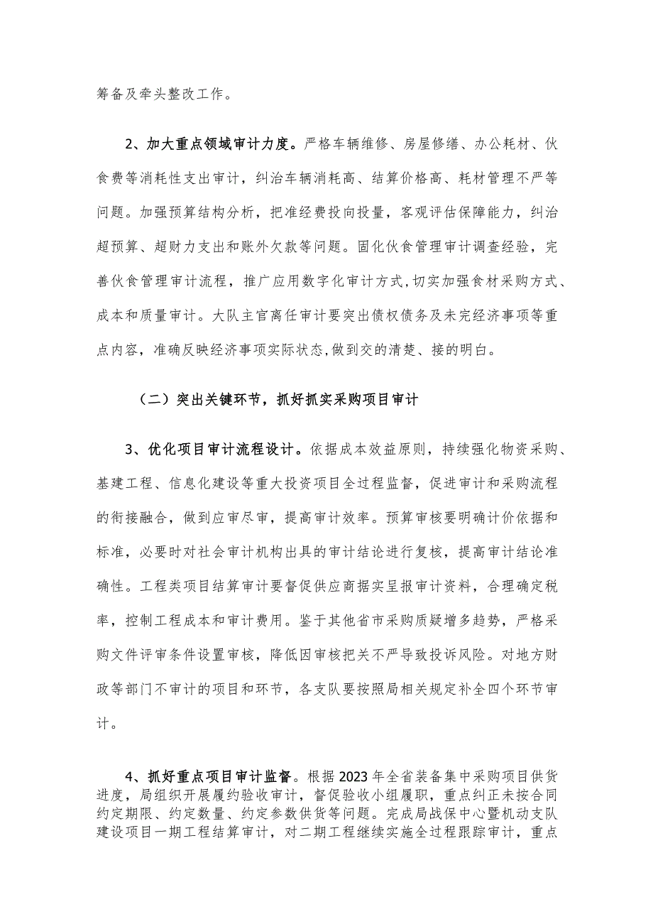 2024审计工作实施方案.docx_第2页
