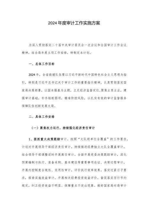 2024审计工作实施方案.docx