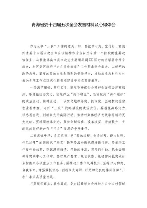 （5篇）2024年青海省委十四五次全会发言材料及心得体会.docx