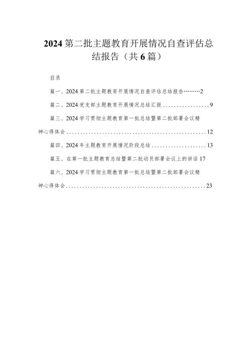 第二批专题开展情况自查评估总结报告六篇(最新精选).docx