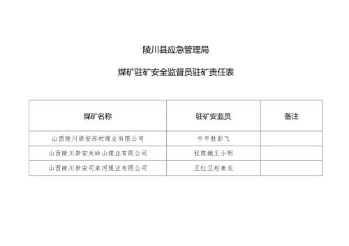 陵川县应急管理局煤矿驻矿安全监督员驻矿责任表.docx