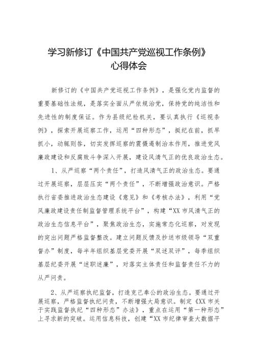 2024年纪检干部学习新修订《中国共产党巡视工作条例》心得体会7篇.docx