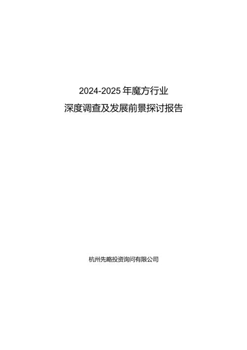 20242025年魔方行业深度调查及发展前景研究报告.docx