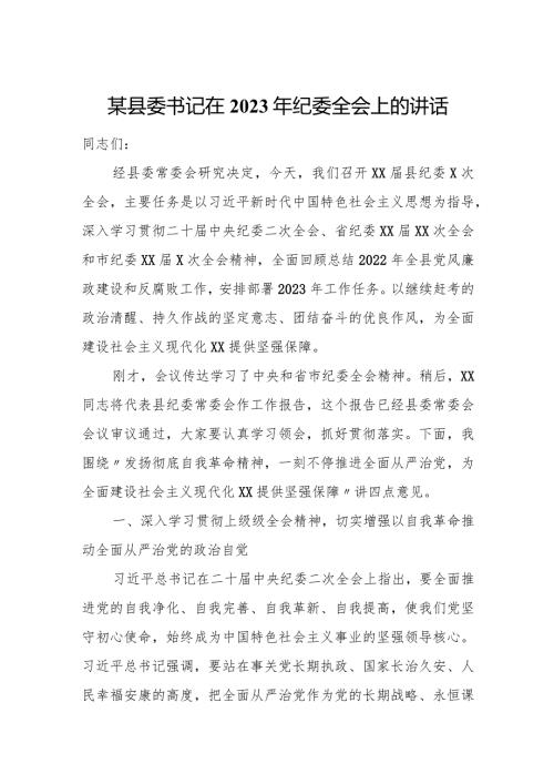 某县委书记在2023年纪委全会上的讲话.docx