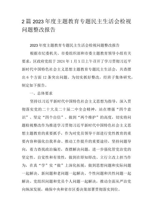 2篇2023主题教育专题民主生活会检视问题整改报告.docx