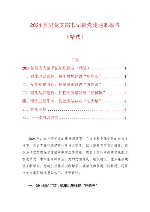 2024基层党支部书记抓党建述职报告（精选）.docx