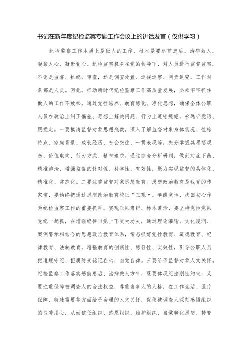书记在新纪检监察专题工作会议上的讲话发言.docx