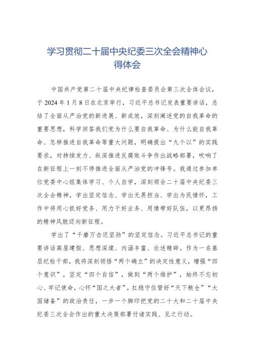 纪检干部学习二十中央纪委三次全会精神的心得感悟十九篇.docx