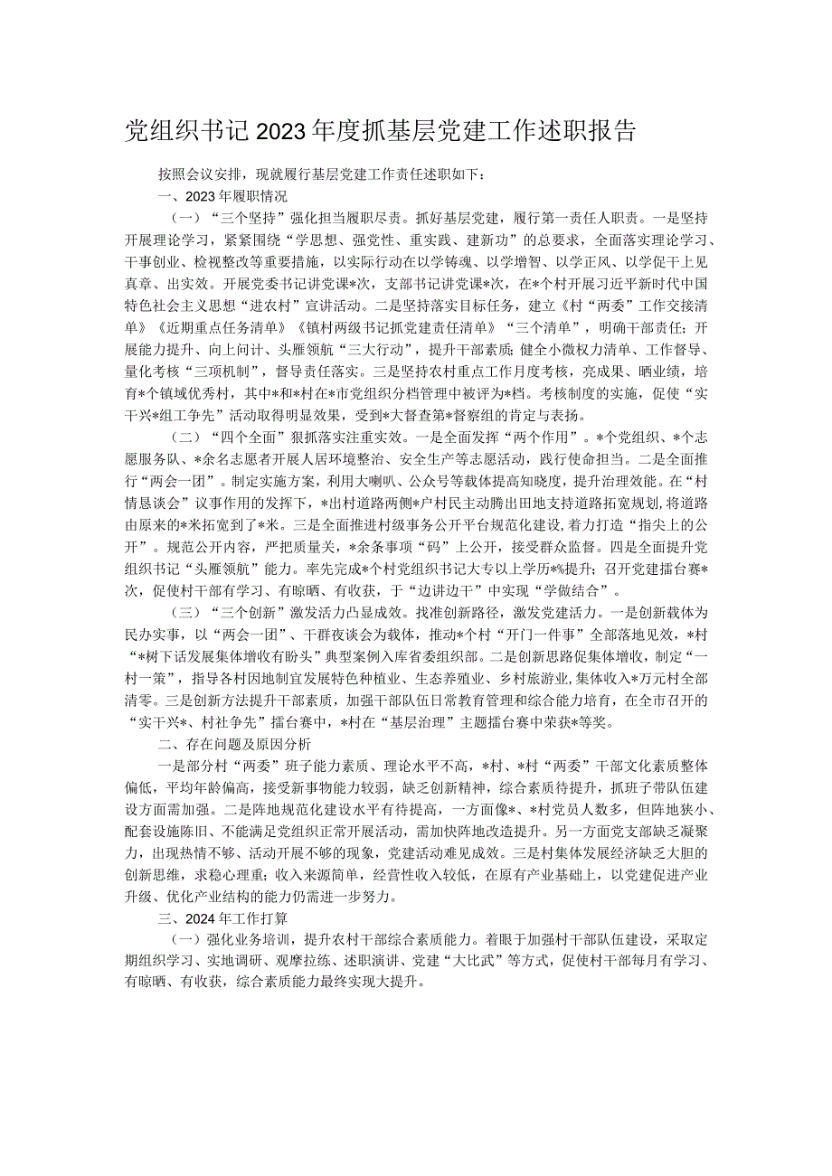 党组织书记2023抓基层党建工作述职报告.docx_第1页