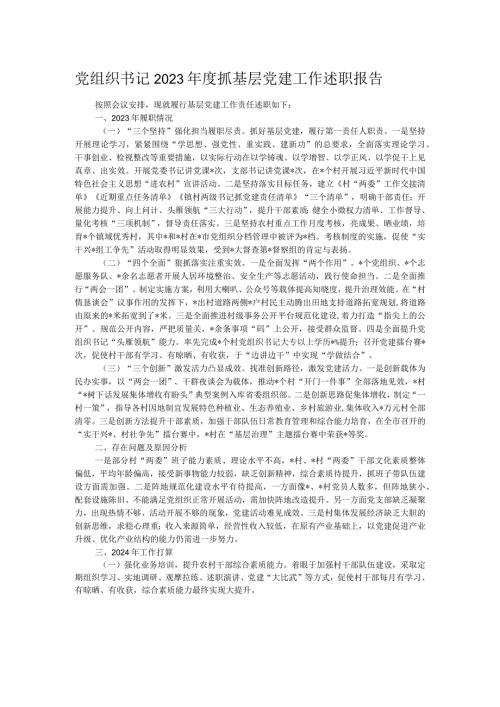 党组织书记2023抓基层党建工作述职报告.docx