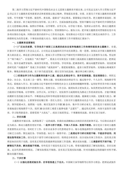 003公司主题教育工作总结.docx