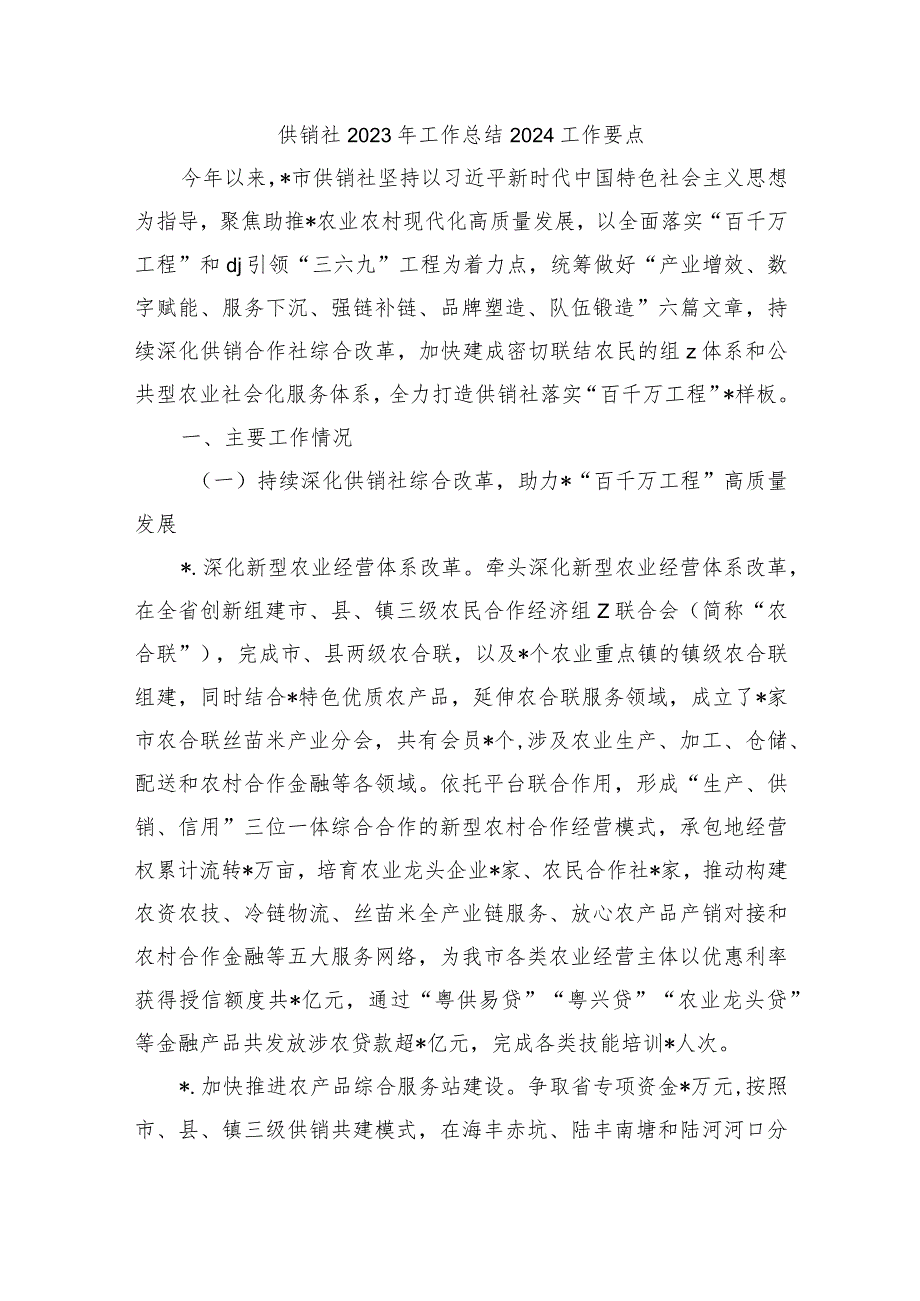 供销社2023年工作总结2024工作要点.docx_第1页
