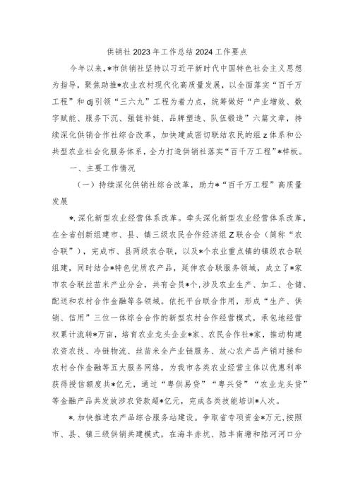 供销社2023年工作总结2024工作要点.docx