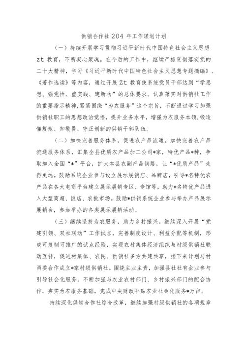 供销合作社204年工作谋划计划.docx