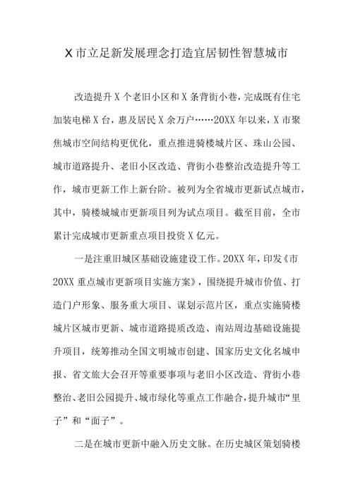 X市立足新发展理念打造宜居韧性智慧城市.docx