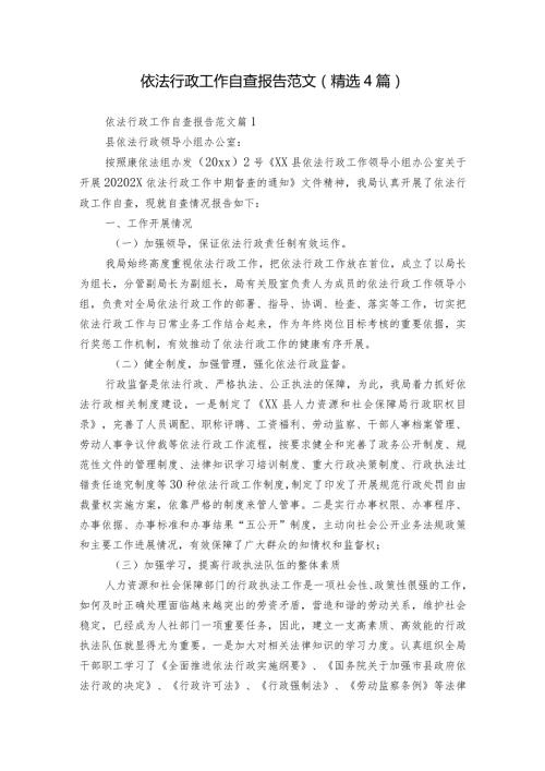 依法行政工作自查报告范文（精选4篇）.docx