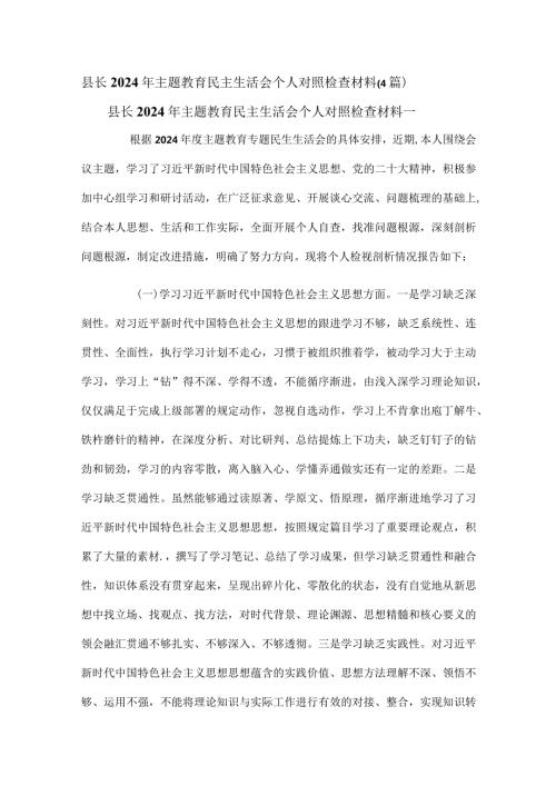 县长2024年主题教育民主生活会个人对照检查材料（4篇）.docx