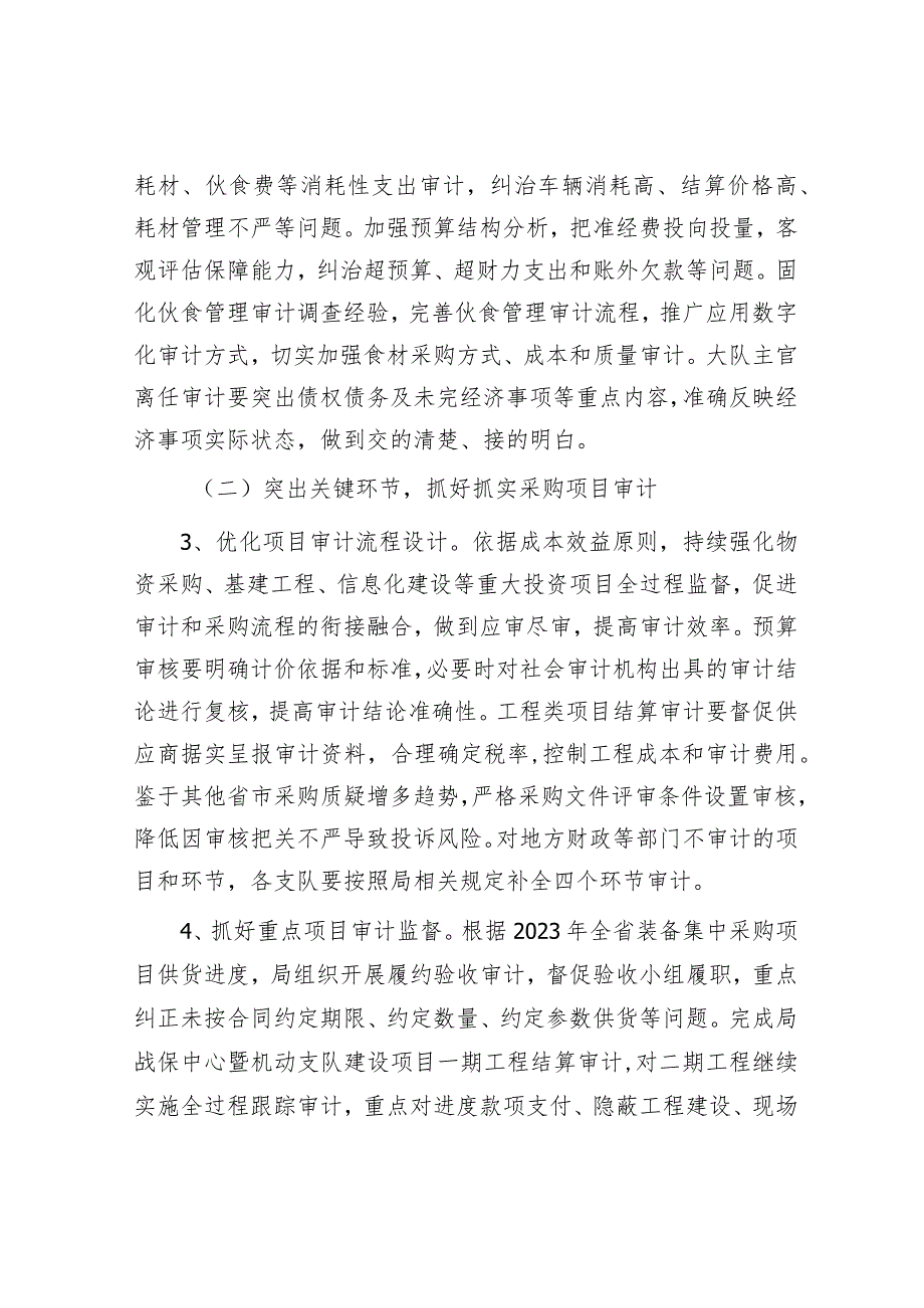 2024审计工作实施方案(1).docx_第2页