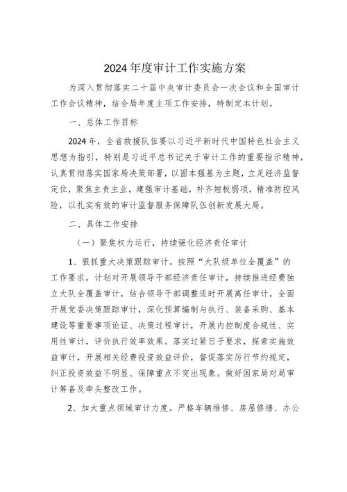 2024审计工作实施方案(1).docx