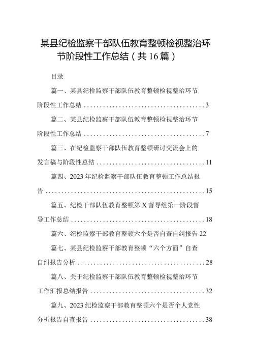 某县纪检监察干部队伍教育整顿检视整治环节阶段性工作总结（共16篇）.docx
