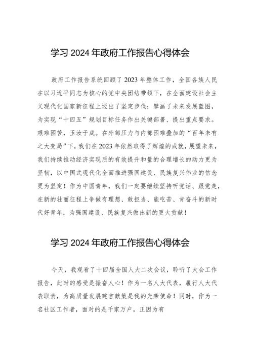 2024年政府工作报告心得体会发言稿二十篇.docx