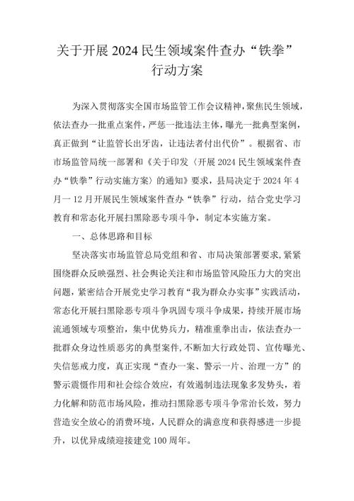 关于开展2024民生领域案件查办“铁拳”行动方案.docx