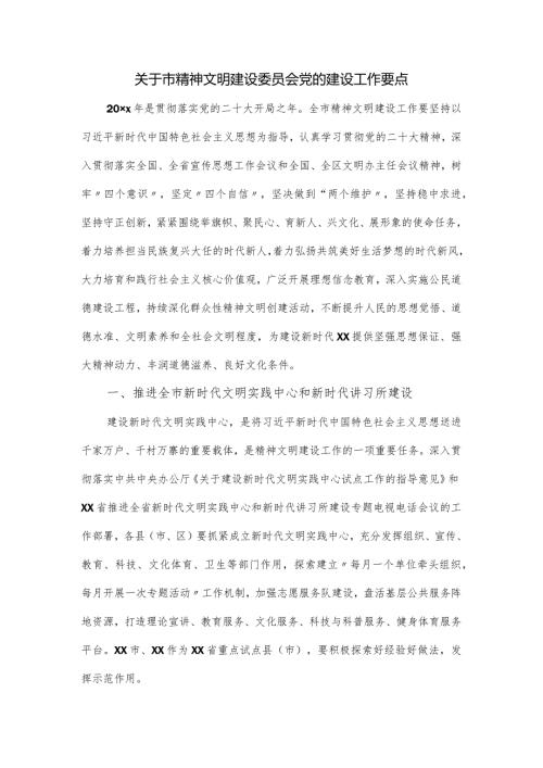 关于市精神文明建设委员会党的建设工作要点.docx