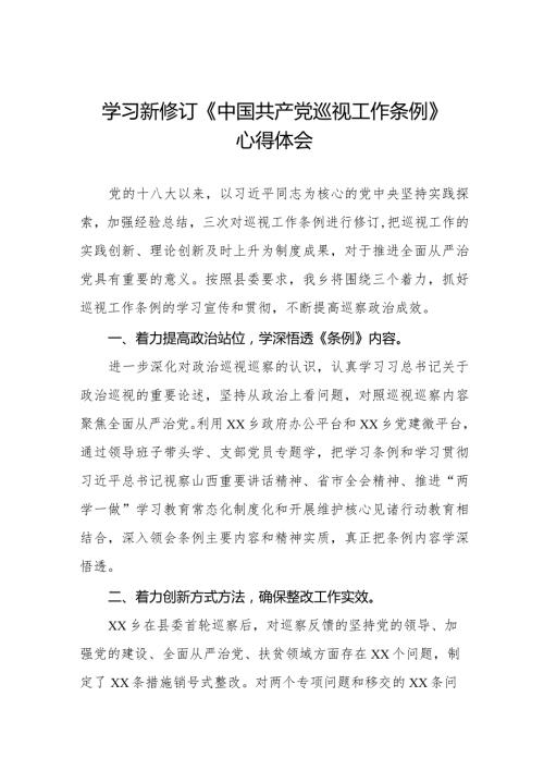 乡干部学习贯彻2024版新修订《中国共产党巡视工作条例》学习体会交流发言五篇.docx